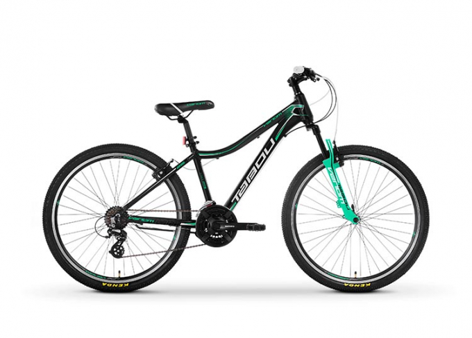 Rower VENOM 2.0 LDS - Tabou